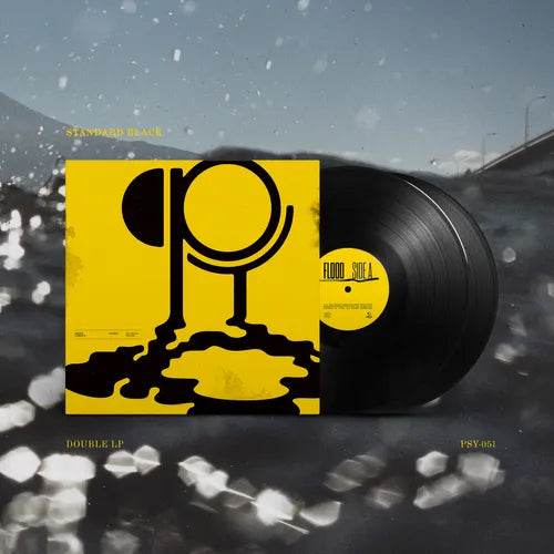 Hippo Campus - Flood (Double Vinyl) - Pale Blue Dot Records