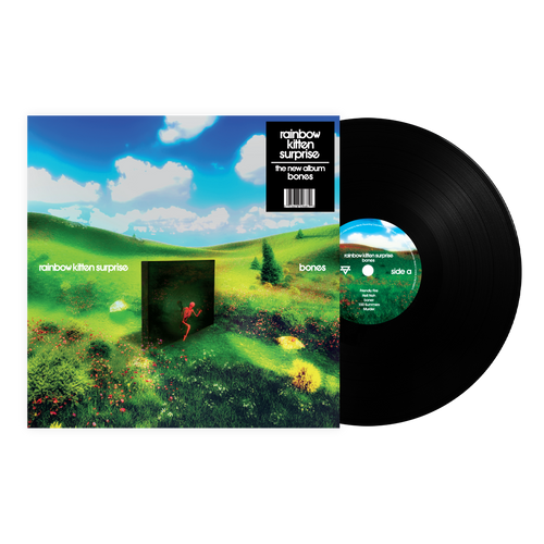Rainbow Kitten Surprise - bones - Pale Blue Dot Records