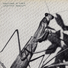 Courtney Barnett - Creature of Habit [Indie Exclusive Caramel] - Pale Blue Dot Records
