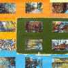 the album cover for Croz Boyce - Croz Boyce [Clear]