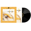the album cover for A Perfect Circle - Thirteenth Step [Definitive Sound Series 180g]
