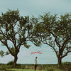 the album cover for Dylan Gossett - Ramblin'