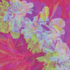 the album cover for Flatwaves - Numbra