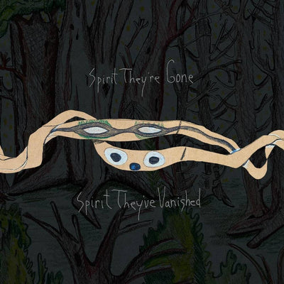 the album cover for Animal Collective - Spirit They're Gone, Spirit They've Vanished: Remastered 2023 [2LP]
