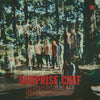 the album cover for Surprise Chef - Friendship Ep (Ep)