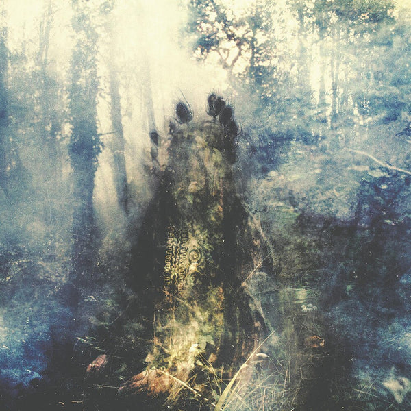 the album cover for Sylvaine - Wistful (Bonus Track) [Clear Vinyl] (Gate) [Limited Edition] (Trq)