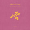 the album cover for Bright Eyes - Noise Floor: A Companion EP [Opaque Gold Vinyl]