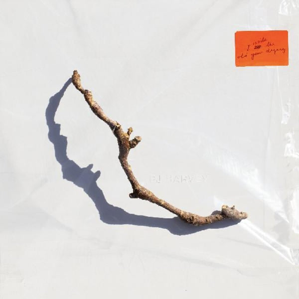 the album cover for PJ Harvey - I Inside the Old Year Dying [LP]