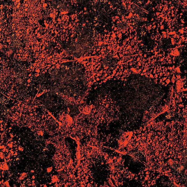 the album cover for King Gizzard & The Lizard Wizard - Murder Of The Universe (Live At Red Rocks 2022)