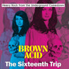the album cover for Brown Acid - Sixteenth Trip / Various - Brown Acid - Sixteenth Trip / Various