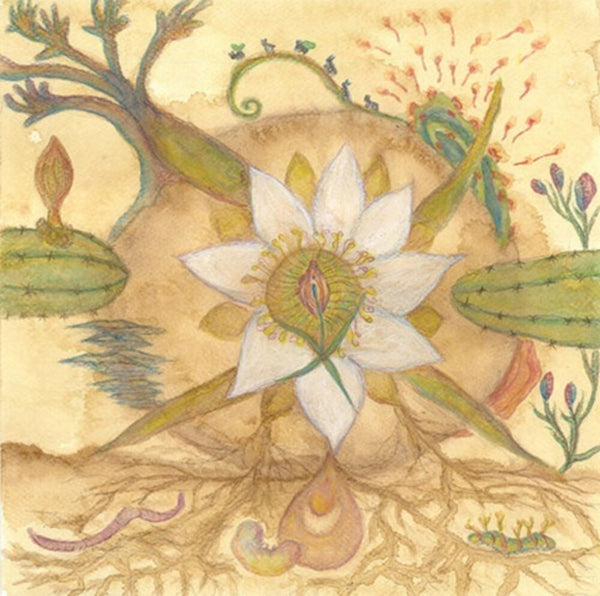 the album cover for Markandeya - Vision Versions: Joaquin Cornejo Meets Markandeya