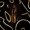 the album cover for Elisapie - Ballad Of The Runaway Girl