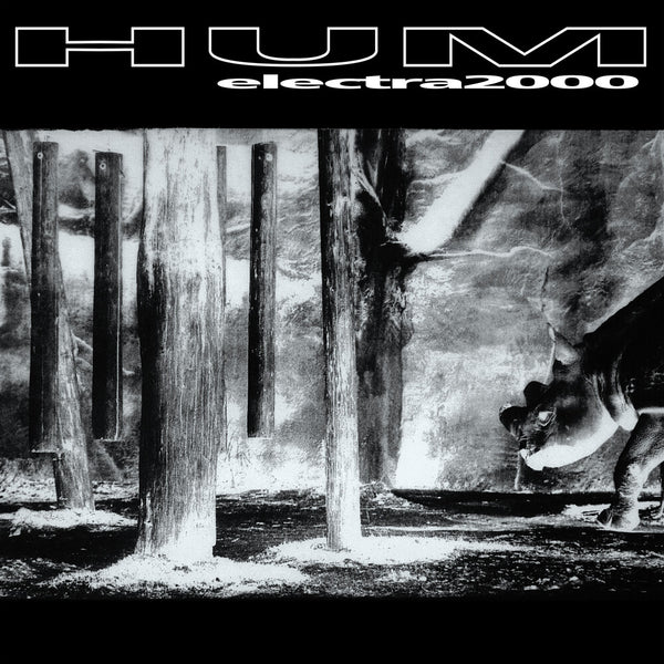 the album cover for Hum - Electra 2000 (Gate) [180 Gram] [Reissue]