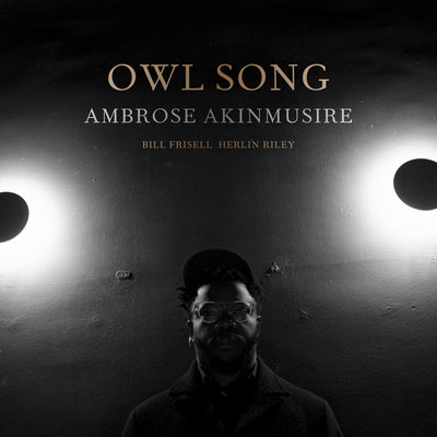 the album cover for Ambrose Akinmusire - Owl Song [LP]