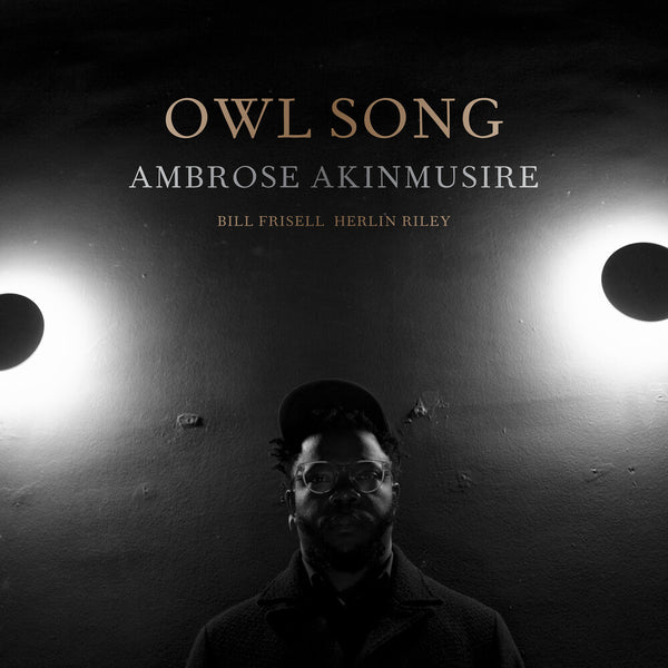 the album cover for Ambrose Akinmusire - Owl Song [LP]