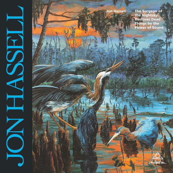 the album cover for Jon Hassell - Surgeon Of The Nightsky Restores Dead Things By
