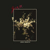 the album cover for Jenny Besetzt - Goner