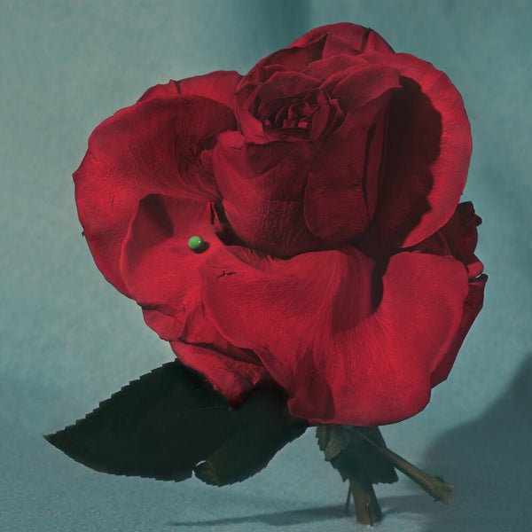 the album cover for METZ - Up On Gravity Hill [Colored Vinyl]