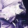 the album cover for Nourished by Time - Catching Chickens