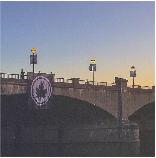 the album cover for Early November - Fifteen Years