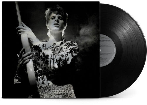 David Bowie - Rock N Roll Star (Vinyl LP) - Pale Blue Dot Records