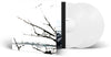 the album cover for Tenhi - Vare (Bonus Tracks) [Clear Vinyl] (Gate) [Limited Edition] (Ofgv)