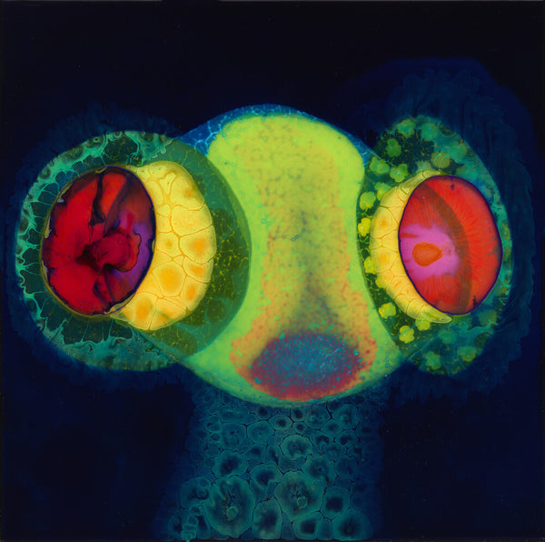 the album cover for Osees - Sorcs 80