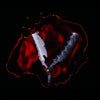 the album cover for Black Veil Brides - Bleeders [Colored Vinyl] (Gate) (Red)