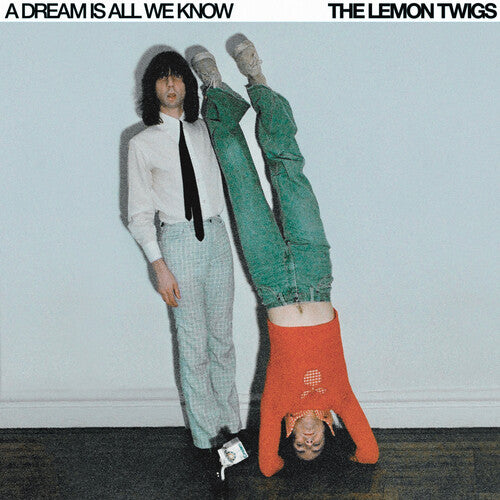 Lemon Twigs - Dream Is All We Know (Vinyl LP) - Pale Blue Dot Records