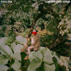 the album cover for Pale Jay - Low End Love Songs - Storm Cloud Grey [Colored Vinyl] (Gry)