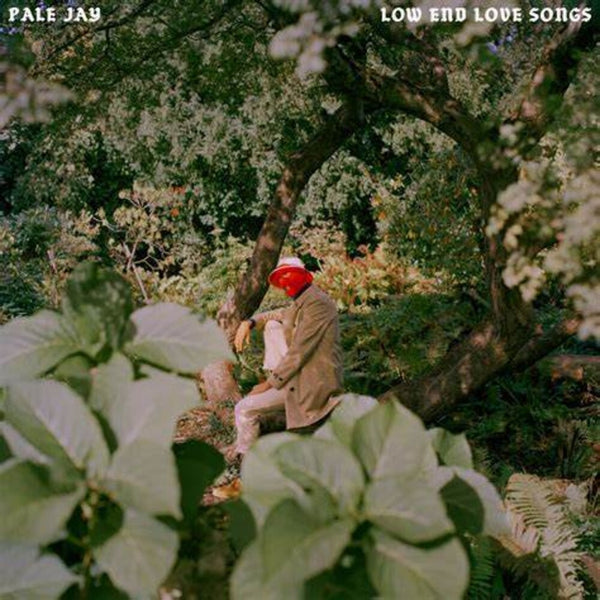 the album cover for Pale Jay - Low End Love Songs - Storm Cloud Grey [Colored Vinyl] (Gry)