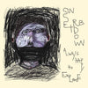 the album cover for Sunset Rubdown - Always Happy To Explode