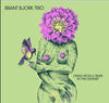 Brant Bjork - Once Upon A Time In The Desert (Vinyl LP) - Pale Blue Dot Records