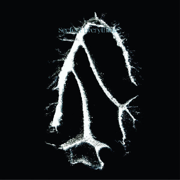 the album cover for Seefeel - Everything Squared