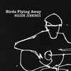the album cover for Mason Jennings - Birds Flying Away