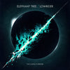 the album cover for Elephant Tree & Lowrider - Long Forever