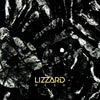 the album cover for Lizzard - Mesh
