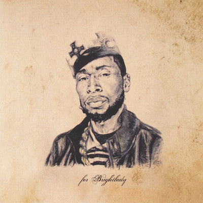 the album cover for 9th Wonder - The Wonder Years [2 LP]