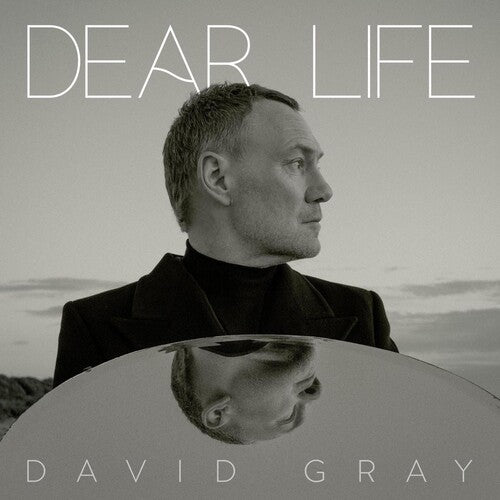 David Gray - Dear Life (Vinyl LP) - Pale Blue Dot Records