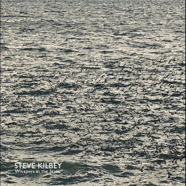the album cover for Steve Kilbey - Whispers In The Static [Colored Vinyl] (Gry)
