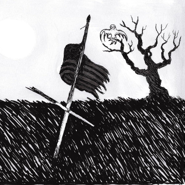 the album cover for Drive-By Truckers - American Band (Deluxe Edition) [Shadow Wave/Frosted Silver 2 LP]