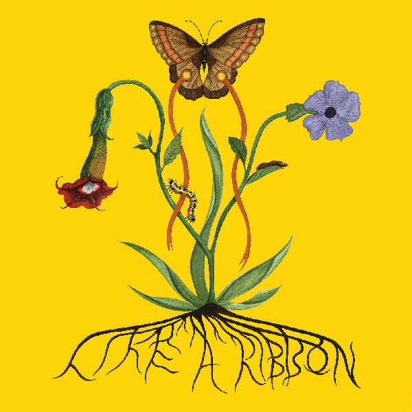 the album cover for John Glacier - Like A Ribbon