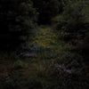the album cover for Fireworks - Higher Lonely Power (Blk) [Colored Vinyl] (Can)