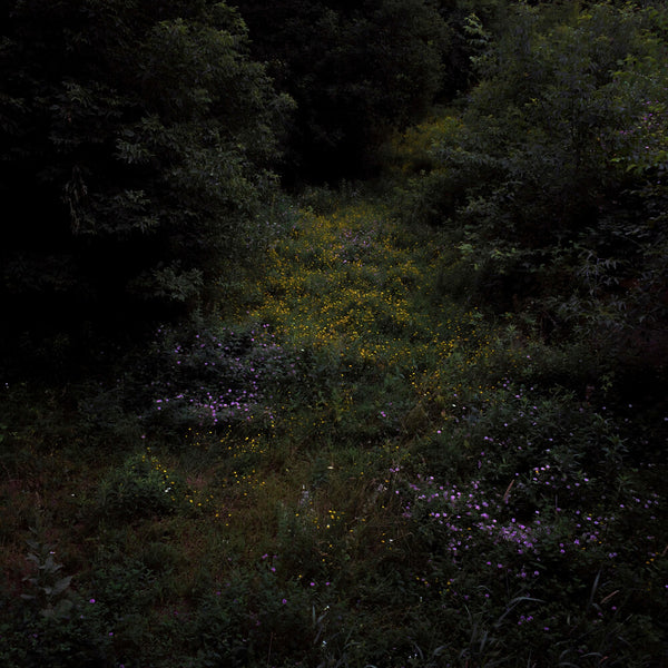 the album cover for Fireworks - Higher Lonely Power (Blk) [Colored Vinyl] (Can)