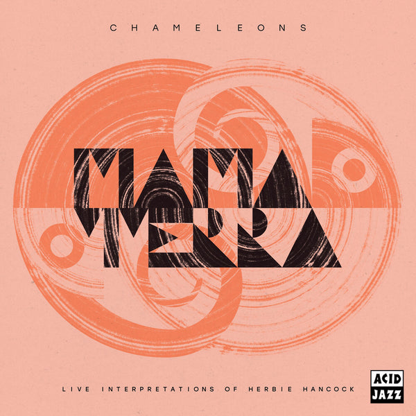 the album cover for Mama Terra - Chameleons (Live Interpretations Of Herbie Hancock