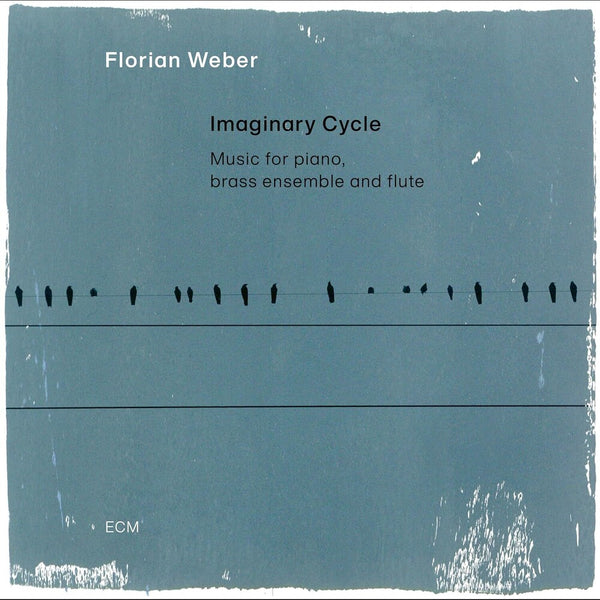 the album cover for Weber, Florian - Imaginary Cycle