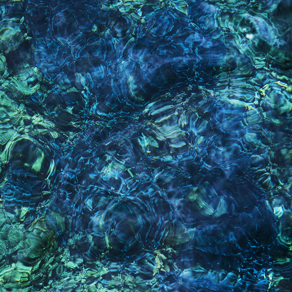 the album cover for  Ichiko Aoba - Luminescent Creatures