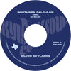 the album cover for Silver Skylarks - Southern Calculus