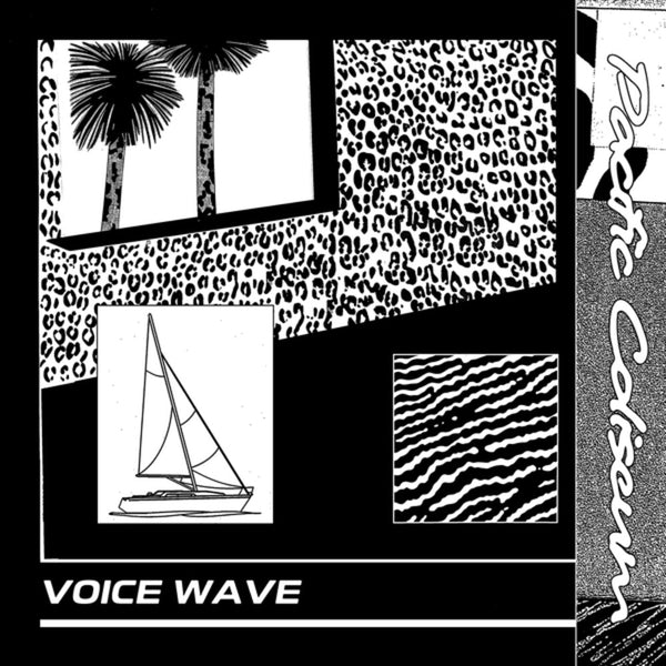 the album cover for Pacific Coliseum / Teen Daze - Voice Wave