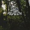 the album cover for Dead Meadow - Old Growth